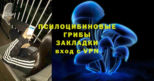 ГАЛЛЮЦИНОГЕННЫЕ ГРИБЫ Баксан